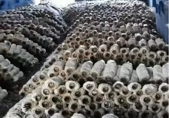 微信截图_20250709091912.png